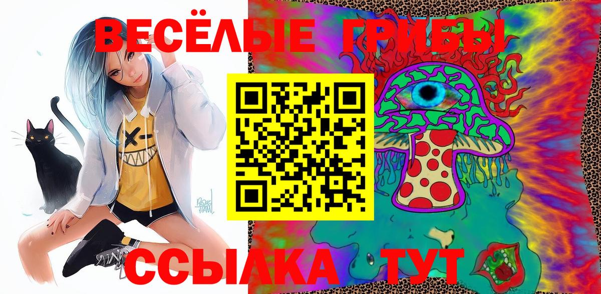 Галлюциногенные грибы GOLDEN TEACHER  Галлюциногенные грибы MAGIC MUSHROOMS  Вход с VPN  Сосновоборск 